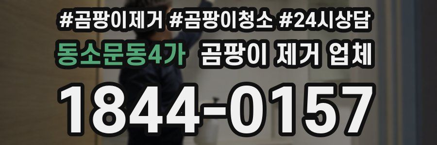 동소문동4가 곰팡이 제거 업체