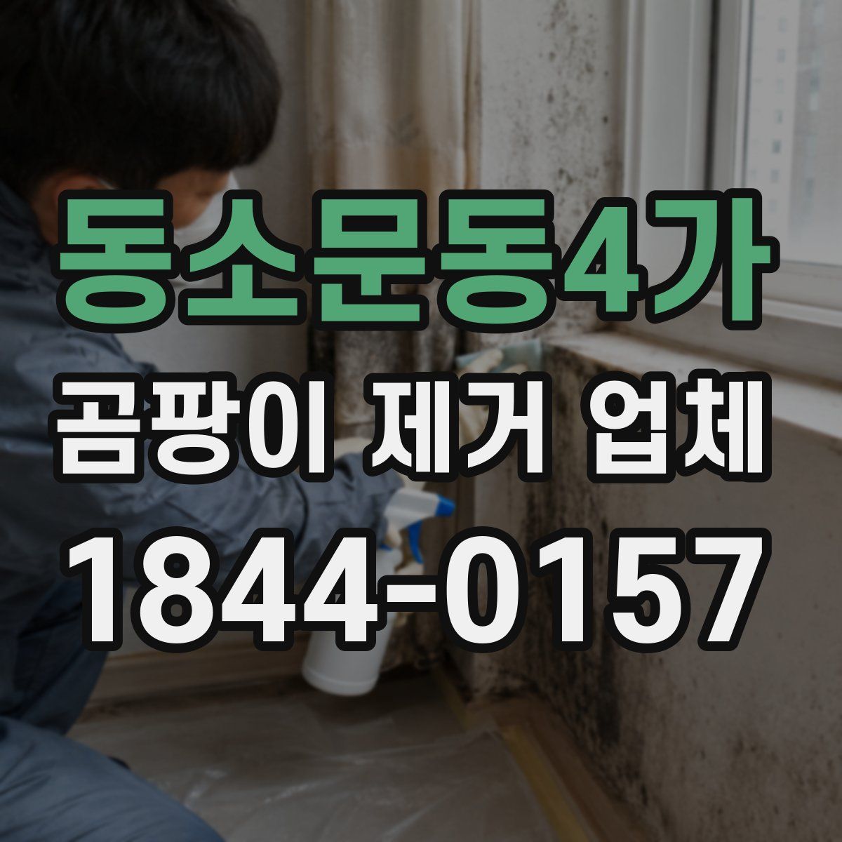 동소문동4가 곰팡이 제거 업체