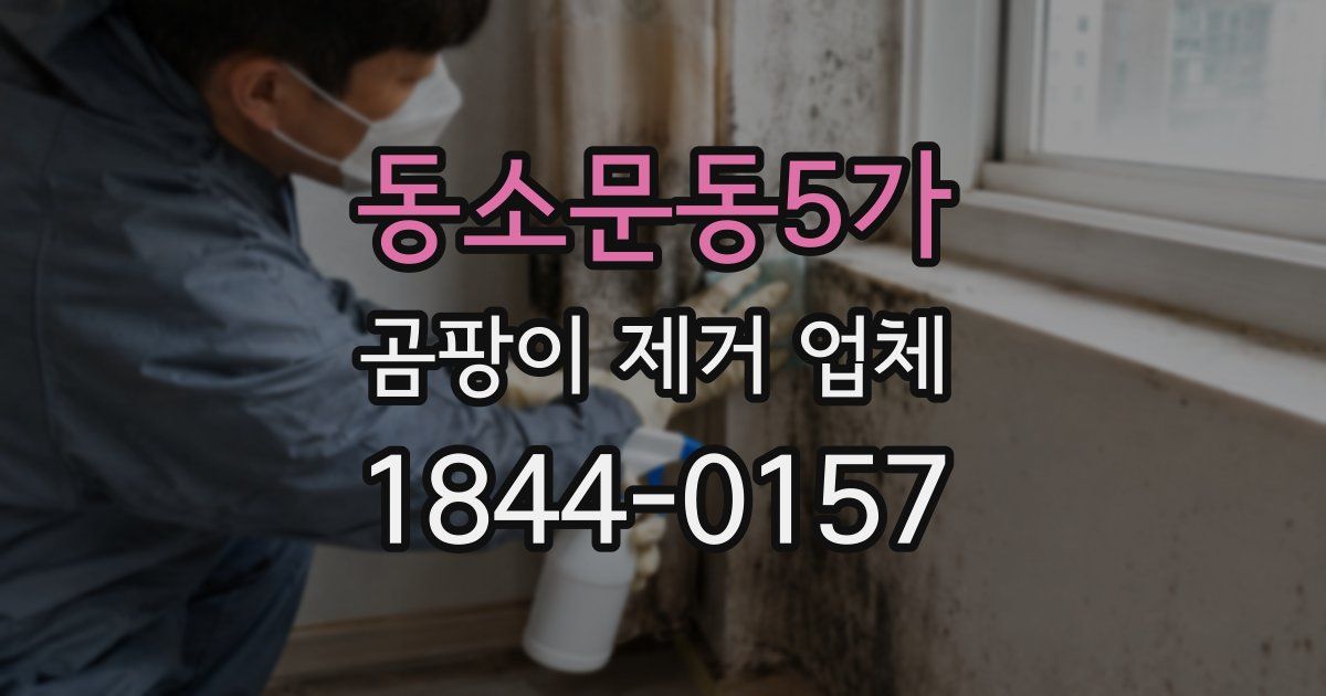 동소문동5가 곰팡이 제거 업체