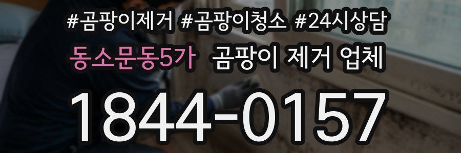 동소문동5가 곰팡이 제거 업체
