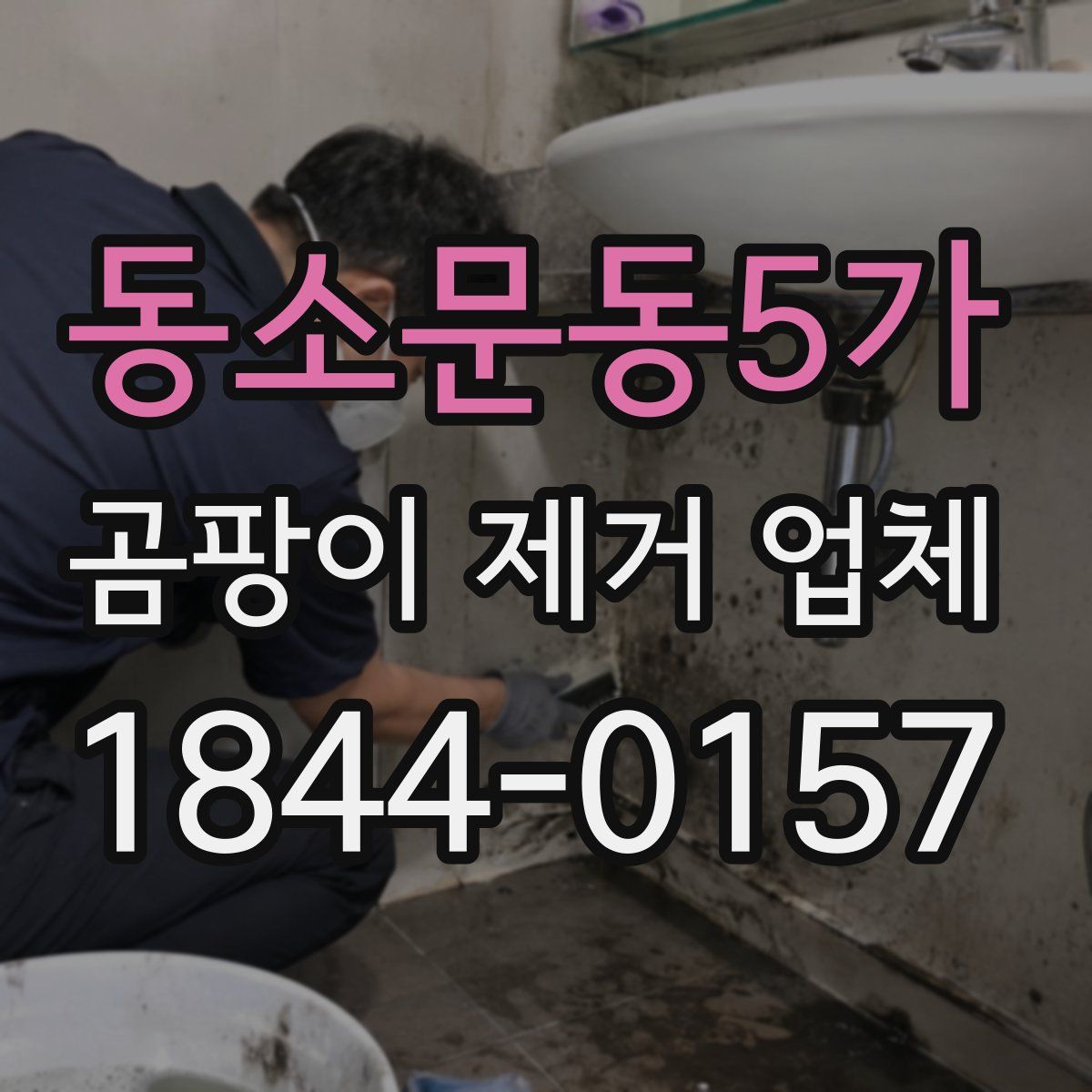 동소문동5가 곰팡이 제거 업체