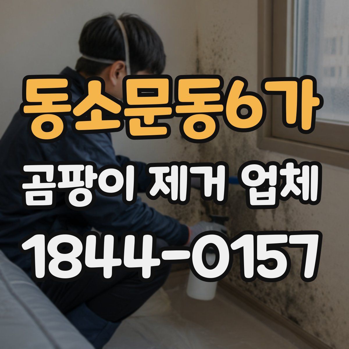 동소문동6가 곰팡이 제거 업체