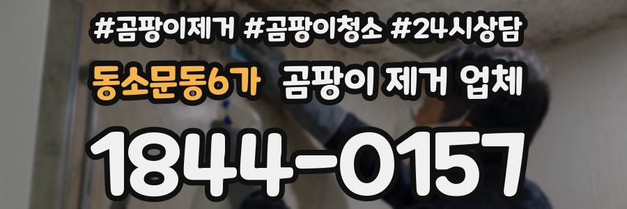 동소문동6가 곰팡이 제거 업체