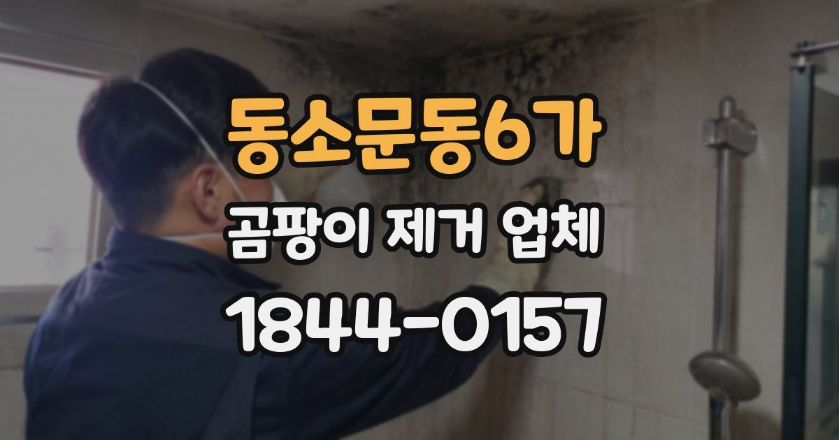 동소문동6가 곰팡이 제거 업체