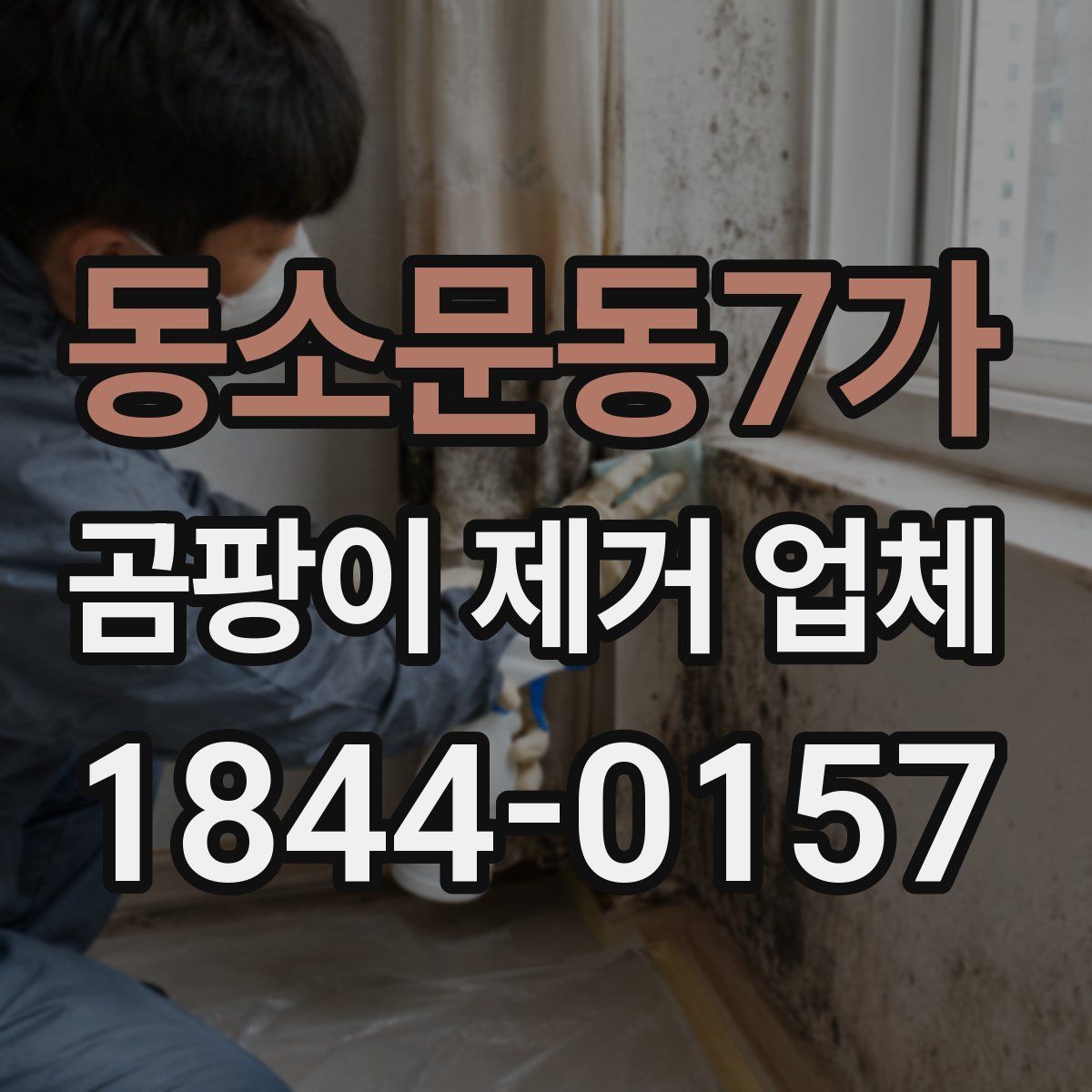 동소문동7가 곰팡이 제거 업체