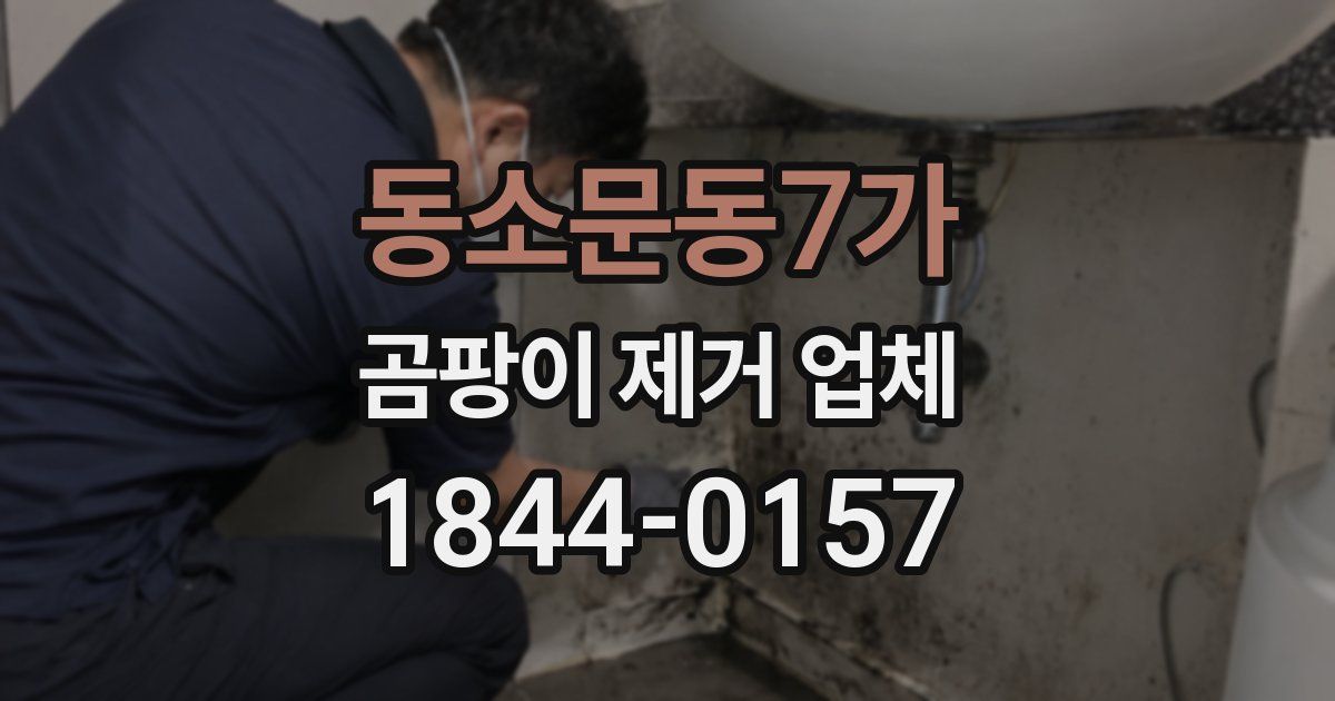 동소문동7가 곰팡이 제거 업체
