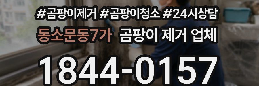 동소문동7가 곰팡이 제거 업체