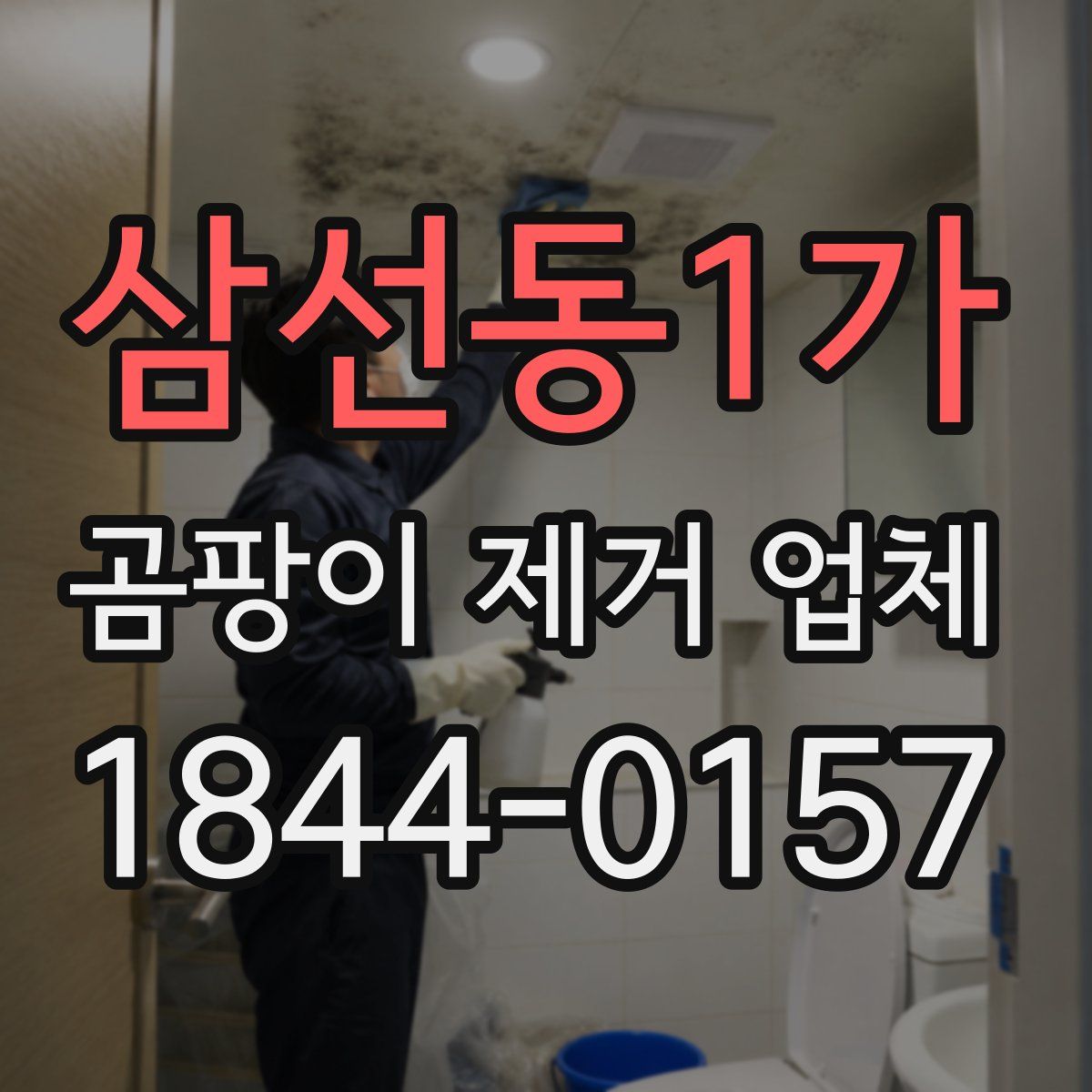 삼선동1가 곰팡이 제거 업체