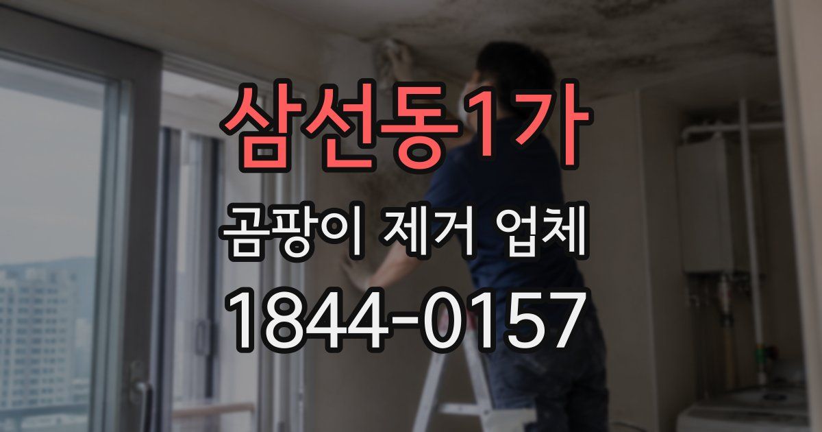 삼선동1가 곰팡이 제거 업체