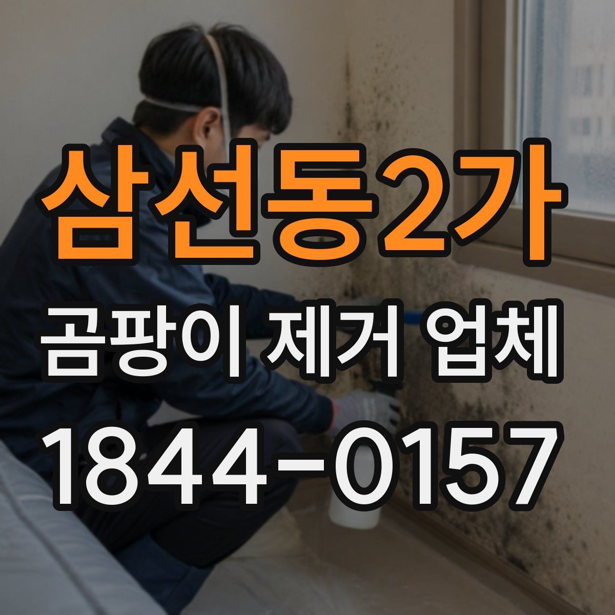 삼선동2가 곰팡이 제거 업체