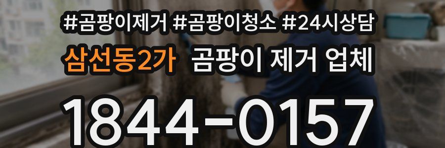 삼선동2가 곰팡이 제거 업체