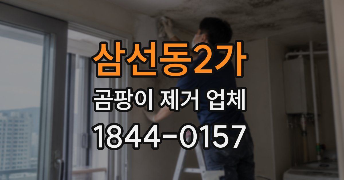 삼선동2가 곰팡이 제거 업체