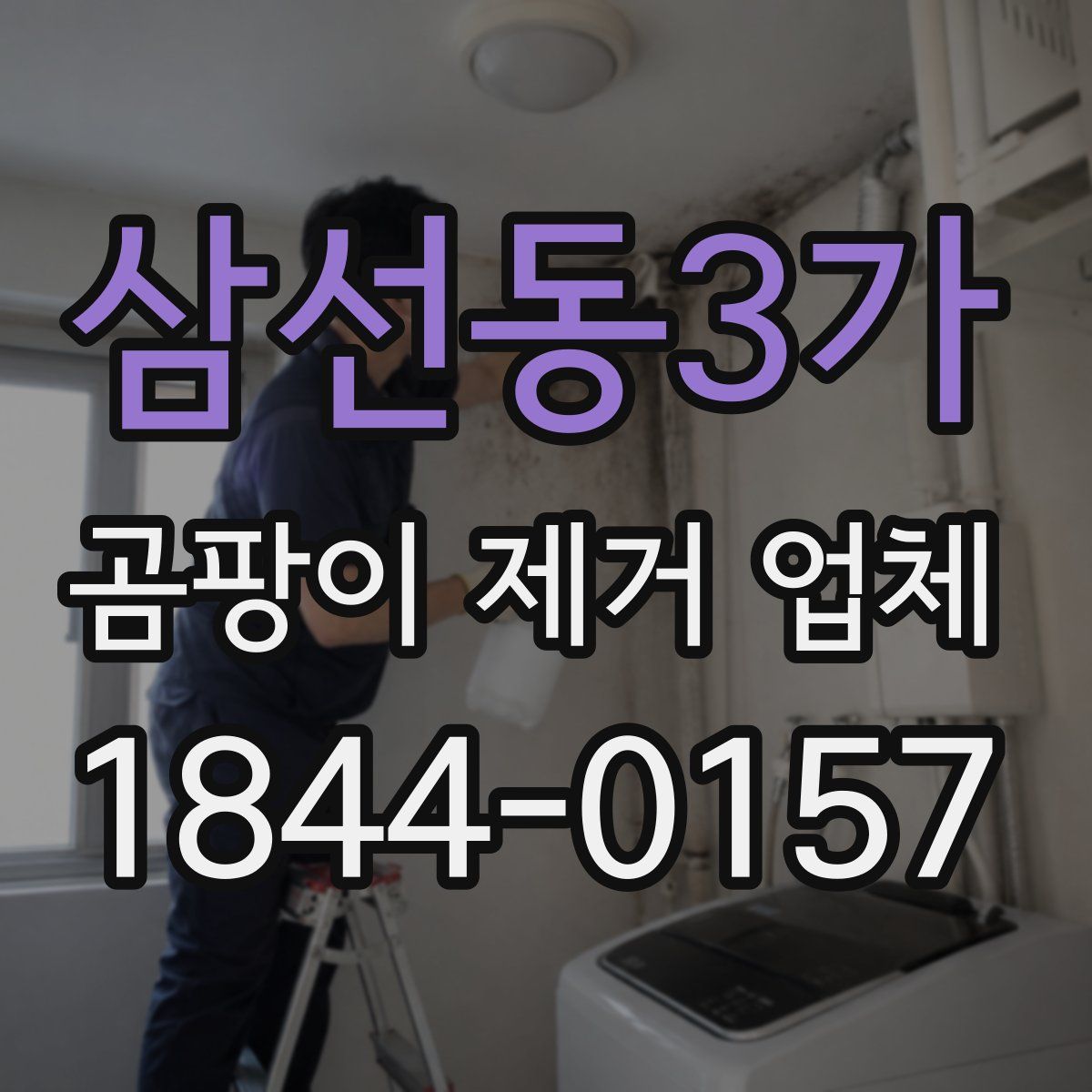삼선동3가 곰팡이 제거 업체