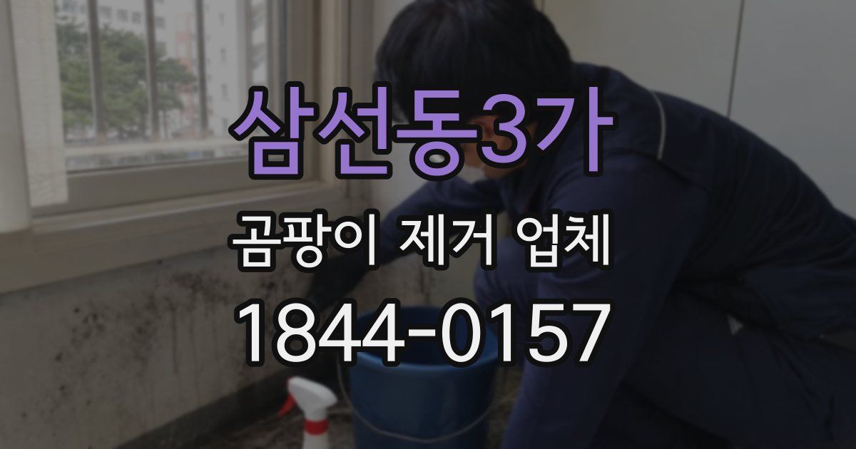 삼선동3가 곰팡이 제거 업체