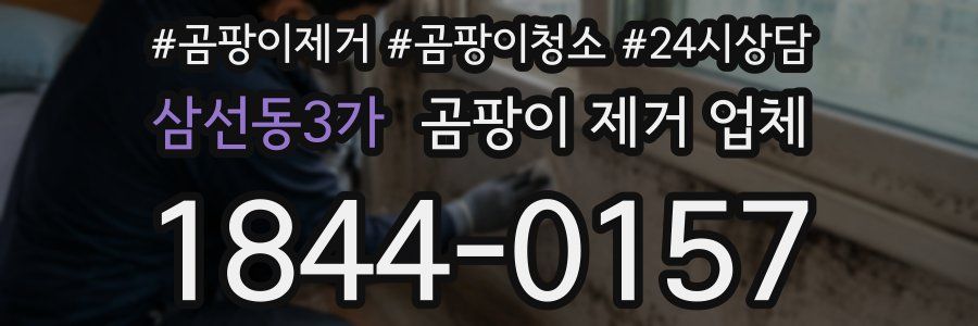 삼선동3가 곰팡이 제거 업체