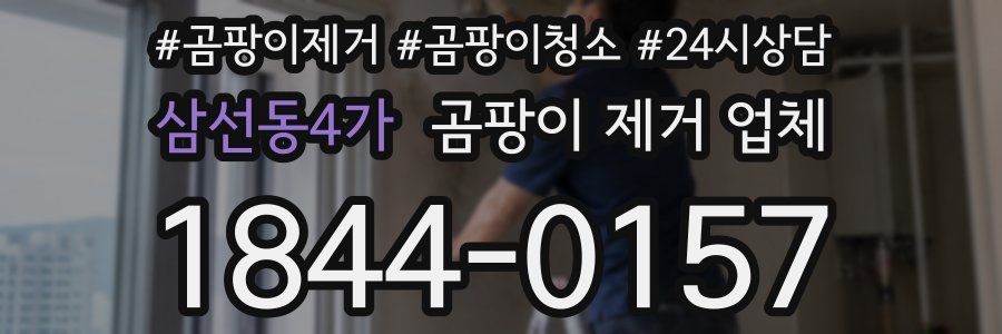 삼선동4가 곰팡이 제거 업체