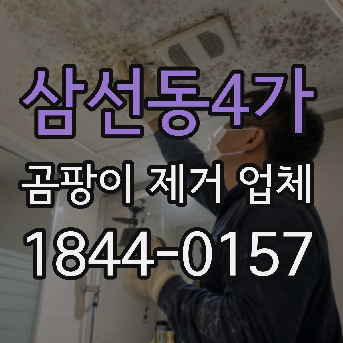 삼선동4가 곰팡이 제거 업체