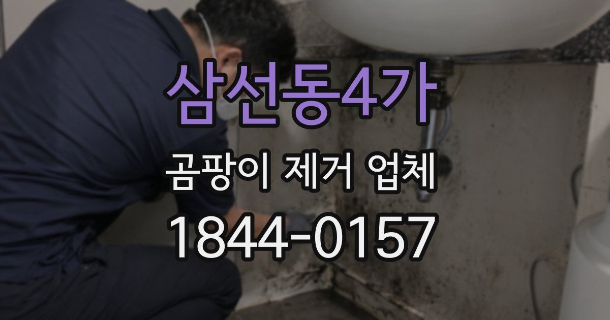 삼선동4가 곰팡이 제거 업체
