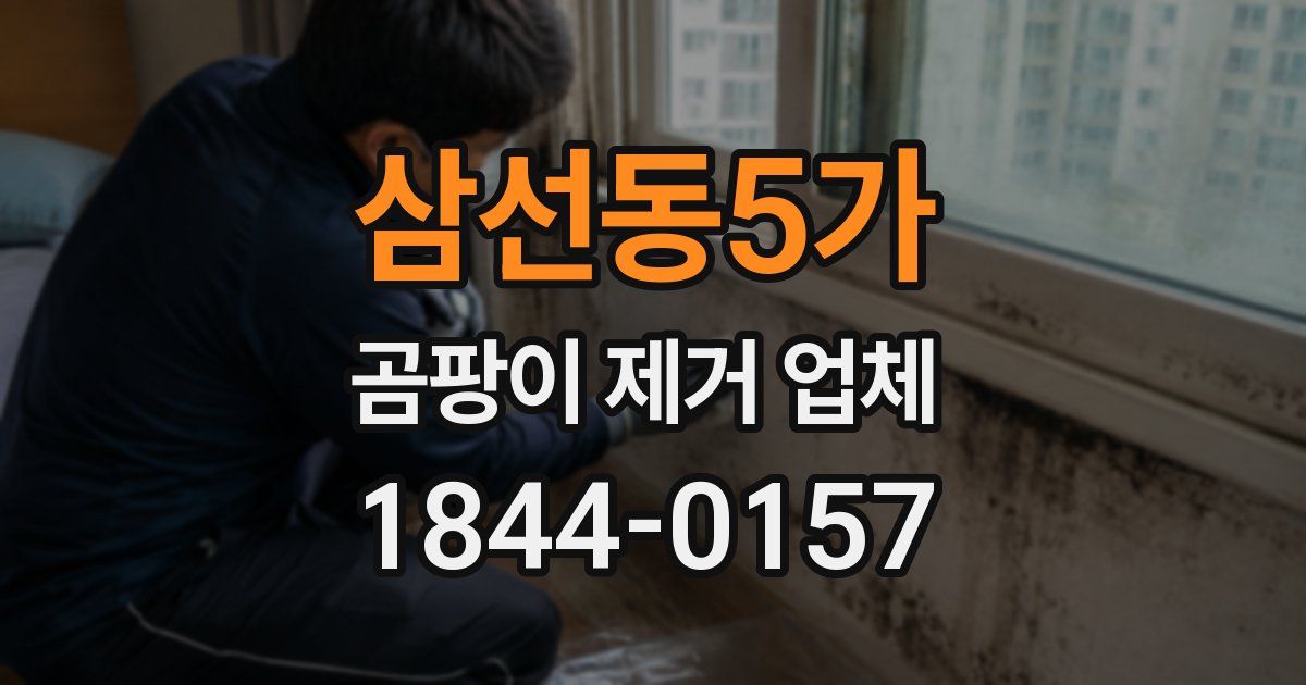 삼선동5가 곰팡이 제거 업체