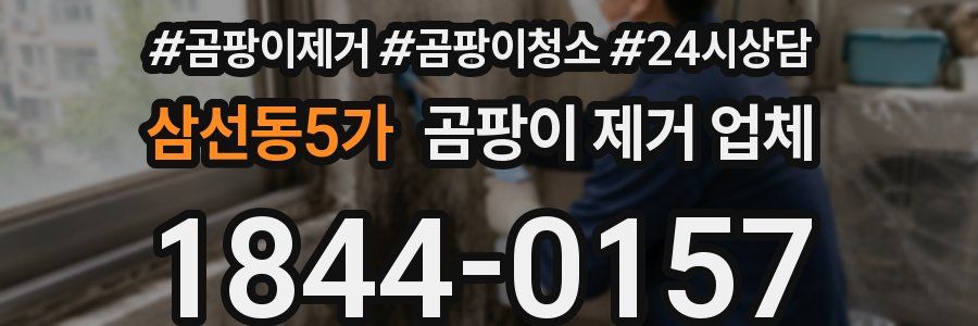 삼선동5가 곰팡이 제거 업체