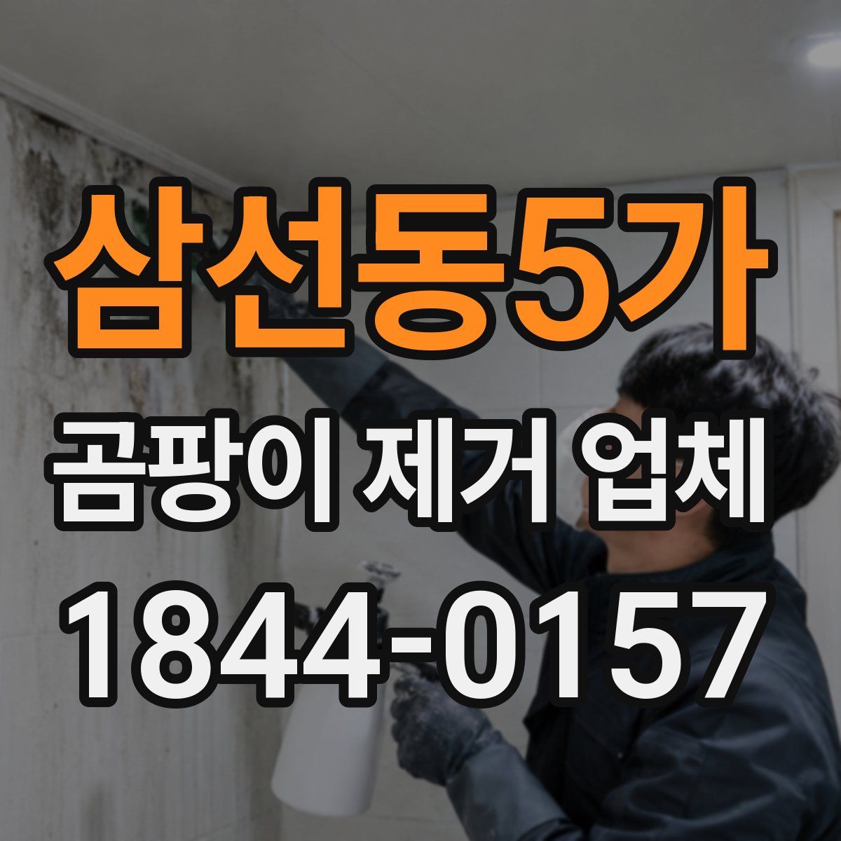 삼선동5가 곰팡이 제거 업체