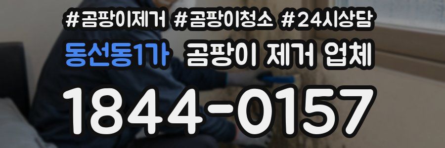 동선동1가 곰팡이 제거 업체