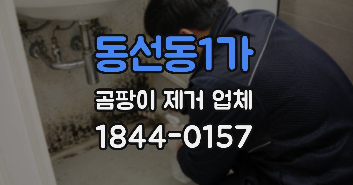 동선동1가 곰팡이 제거 업체