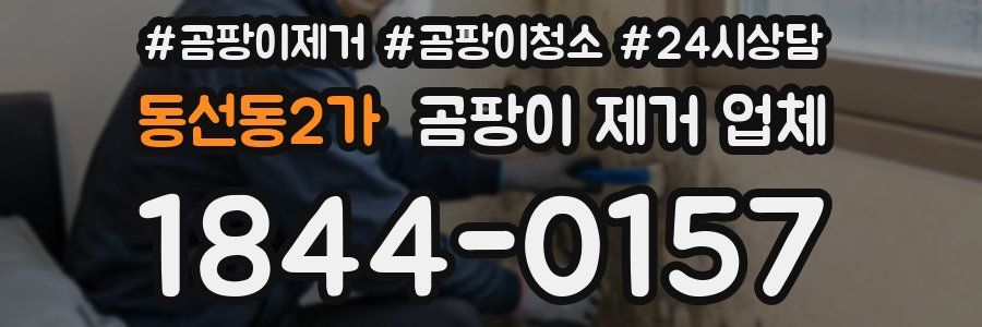 동선동2가 곰팡이 제거 업체