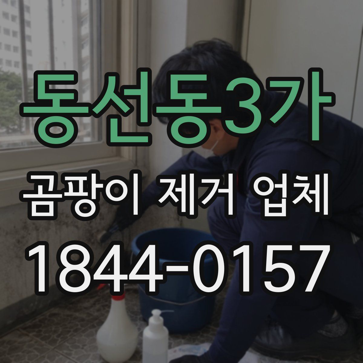 동선동3가 곰팡이 제거 업체