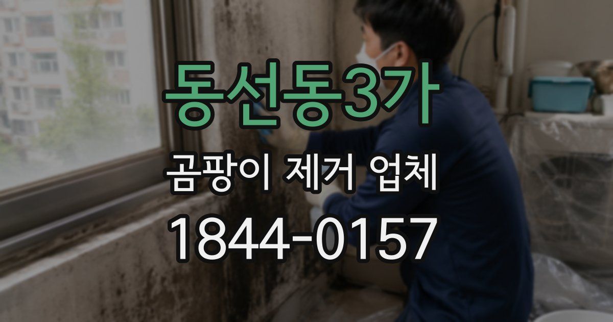 동선동3가 곰팡이 제거 업체