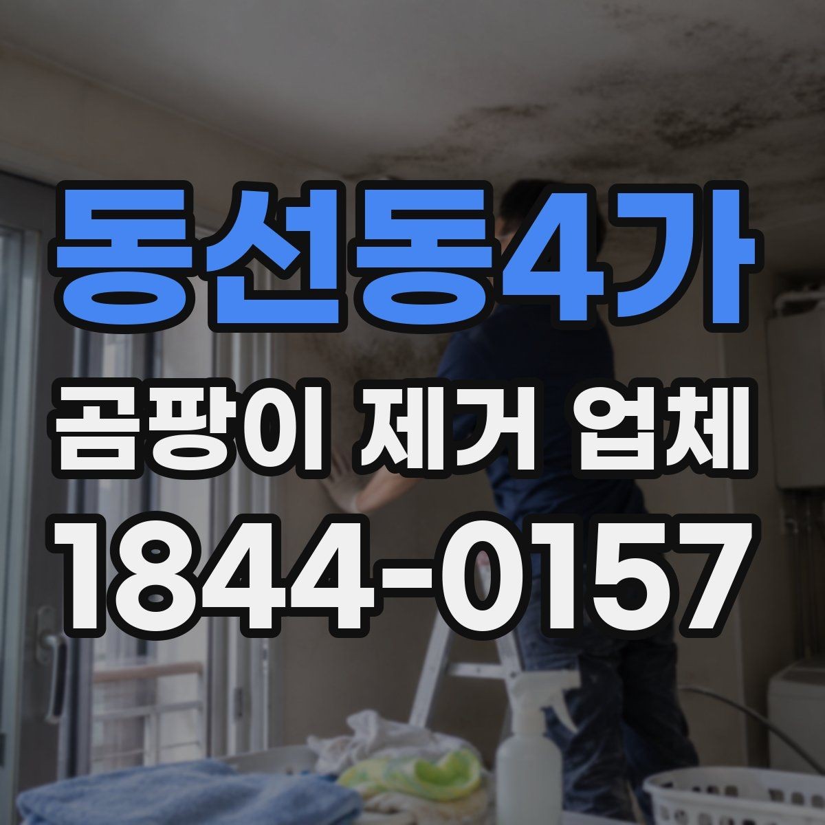 동선동4가 곰팡이 제거 업체 약제 선택 전에 확인해야 할 실내 환경 조건