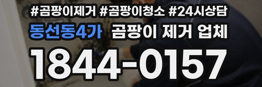 동선동4가 곰팡이 제거 업체