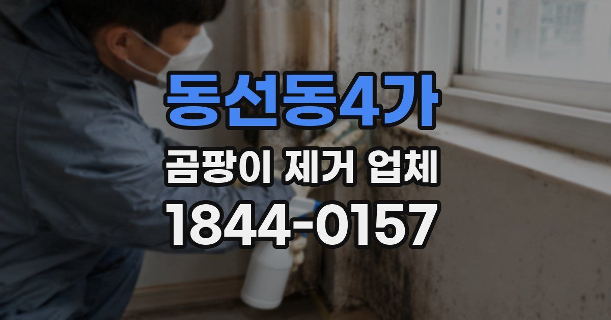 동선동4가 곰팡이 제거 업체