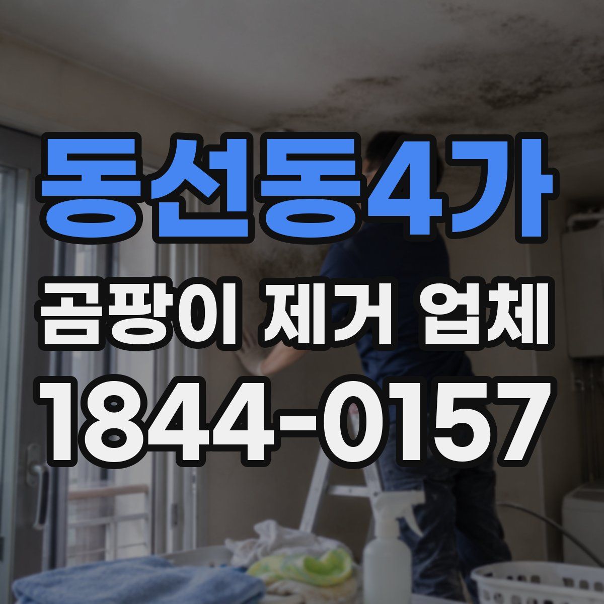 동선동4가 곰팡이 제거 업체