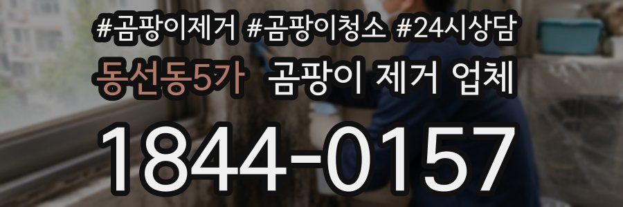 동선동5가 곰팡이 제거 업체
