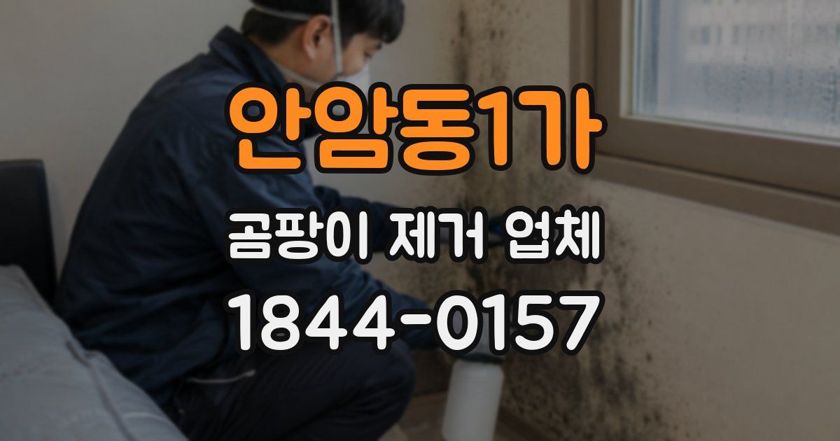 안암동1가 곰팡이 제거 업체