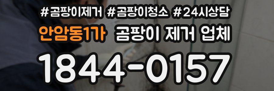 안암동1가 곰팡이 제거 업체