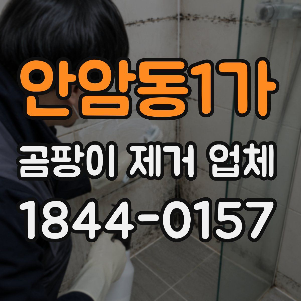 안암동1가 곰팡이 제거 업체