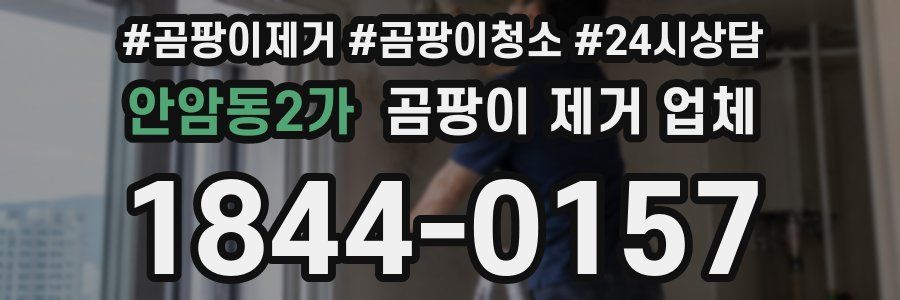 안암동2가 곰팡이 제거 업체