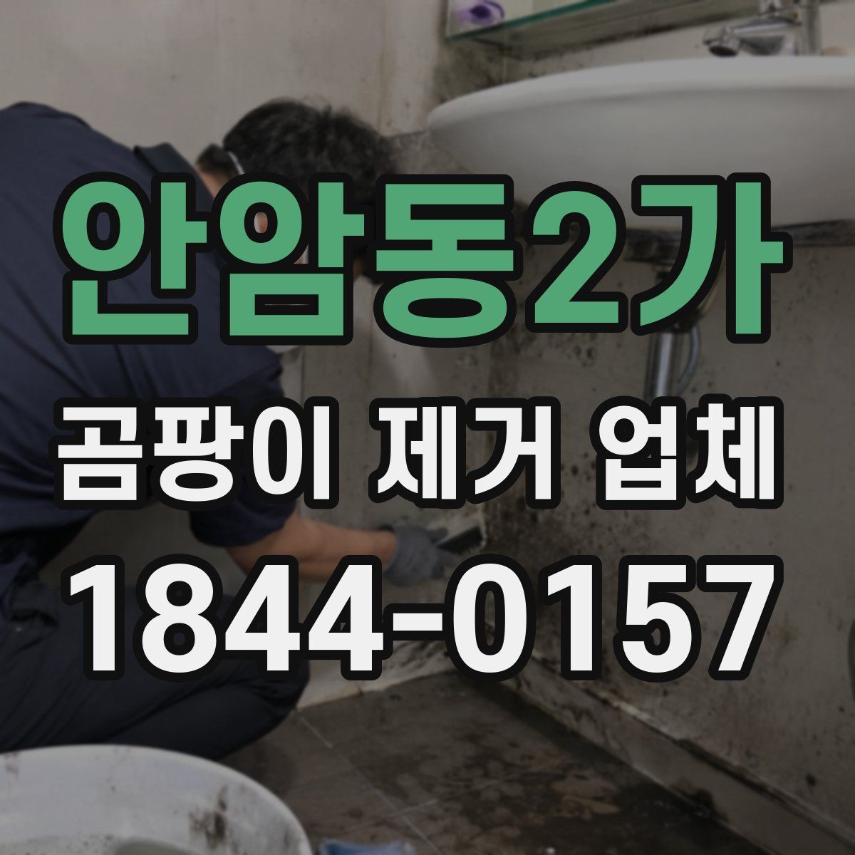 안암동2가 곰팡이 제거 업체