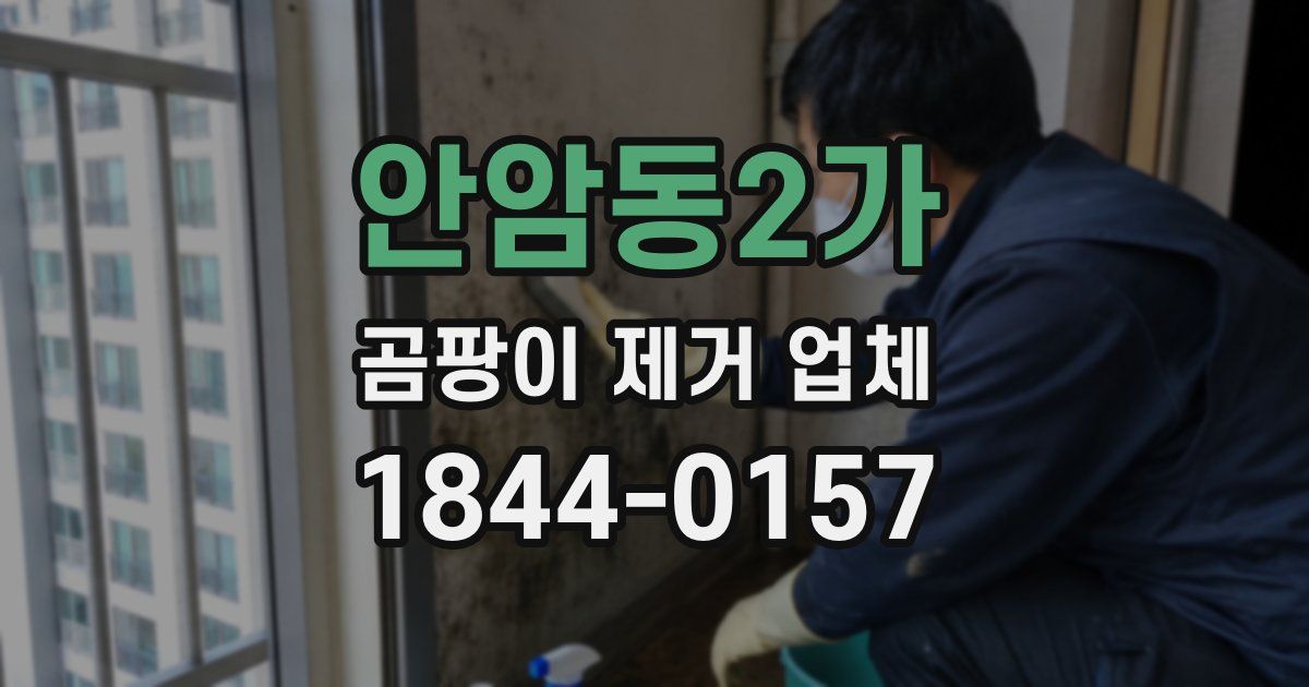 안암동2가 곰팡이 제거 업체