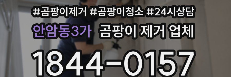 안암동3가 곰팡이 제거 업체