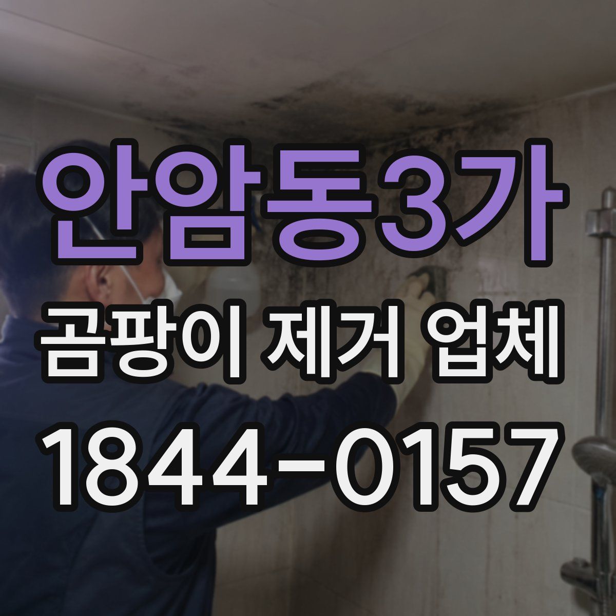 안암동3가 곰팡이 제거 업체