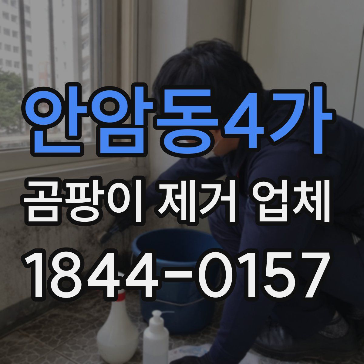 안암동4가 곰팡이 제거 업체