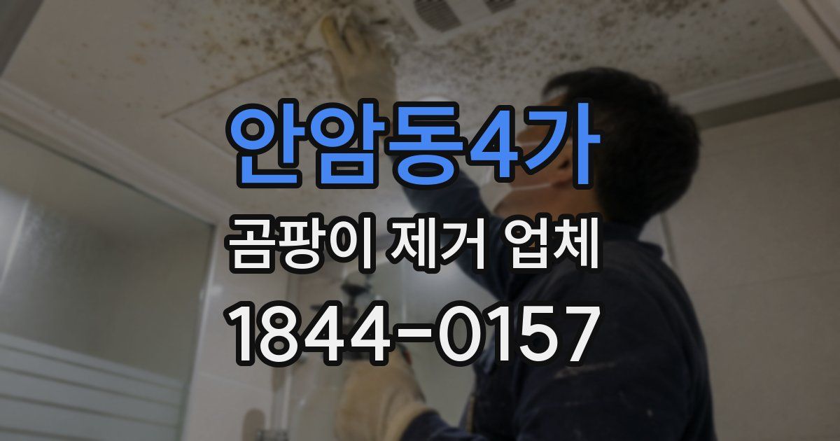 안암동4가 곰팡이 제거 업체
