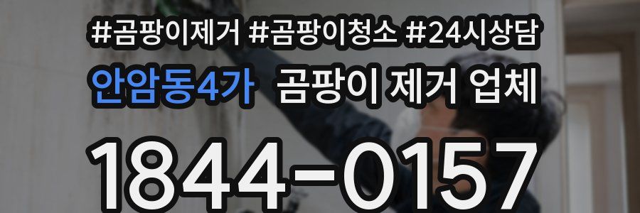 안암동4가 곰팡이 제거 업체