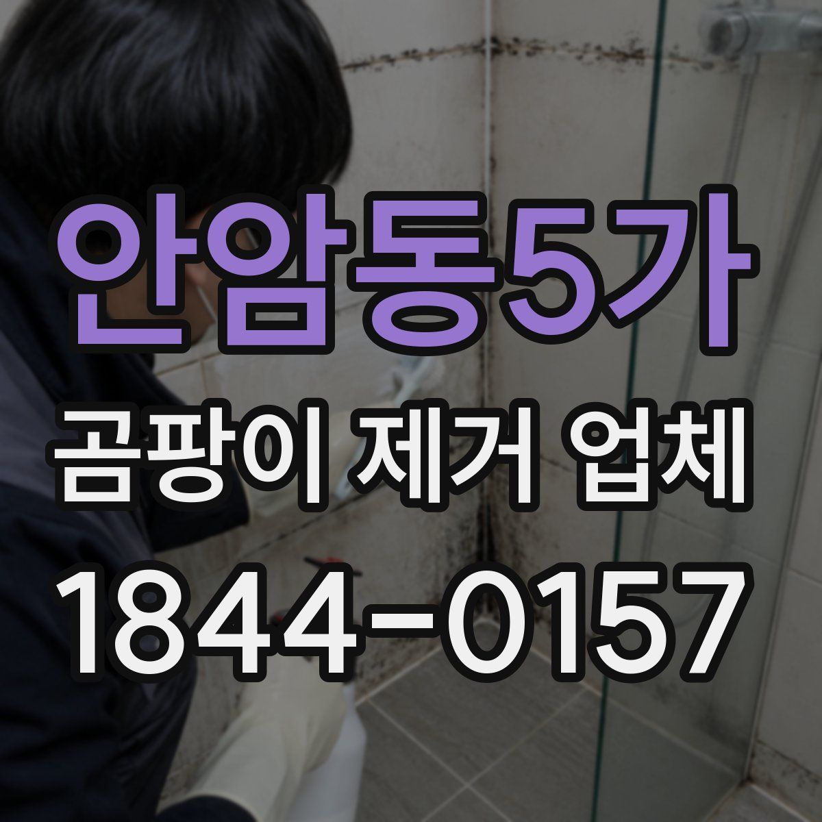 안암동5가 곰팡이 제거 업체