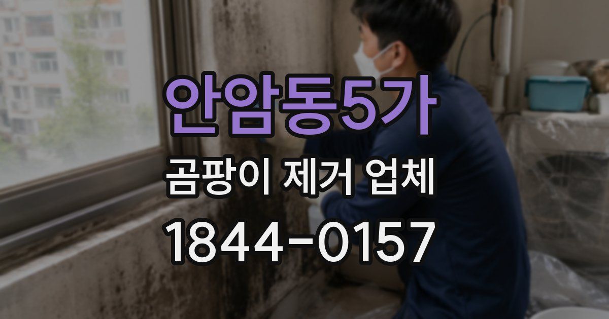 안암동5가 곰팡이 제거 업체