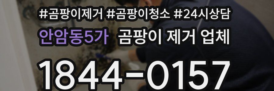 안암동5가 곰팡이 제거 업체