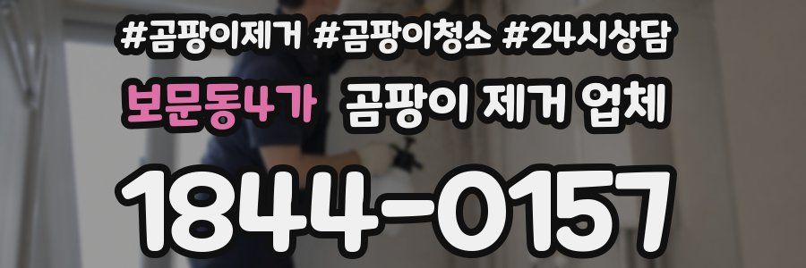 보문동4가 곰팡이 제거 업체
